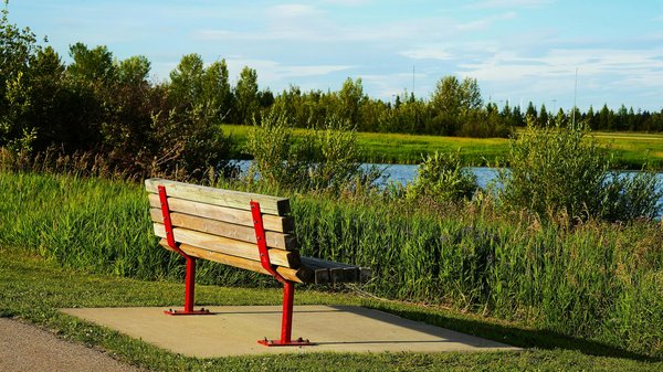 Effektive Strategien zur Vorbeugung von Mangelernährung im Alter